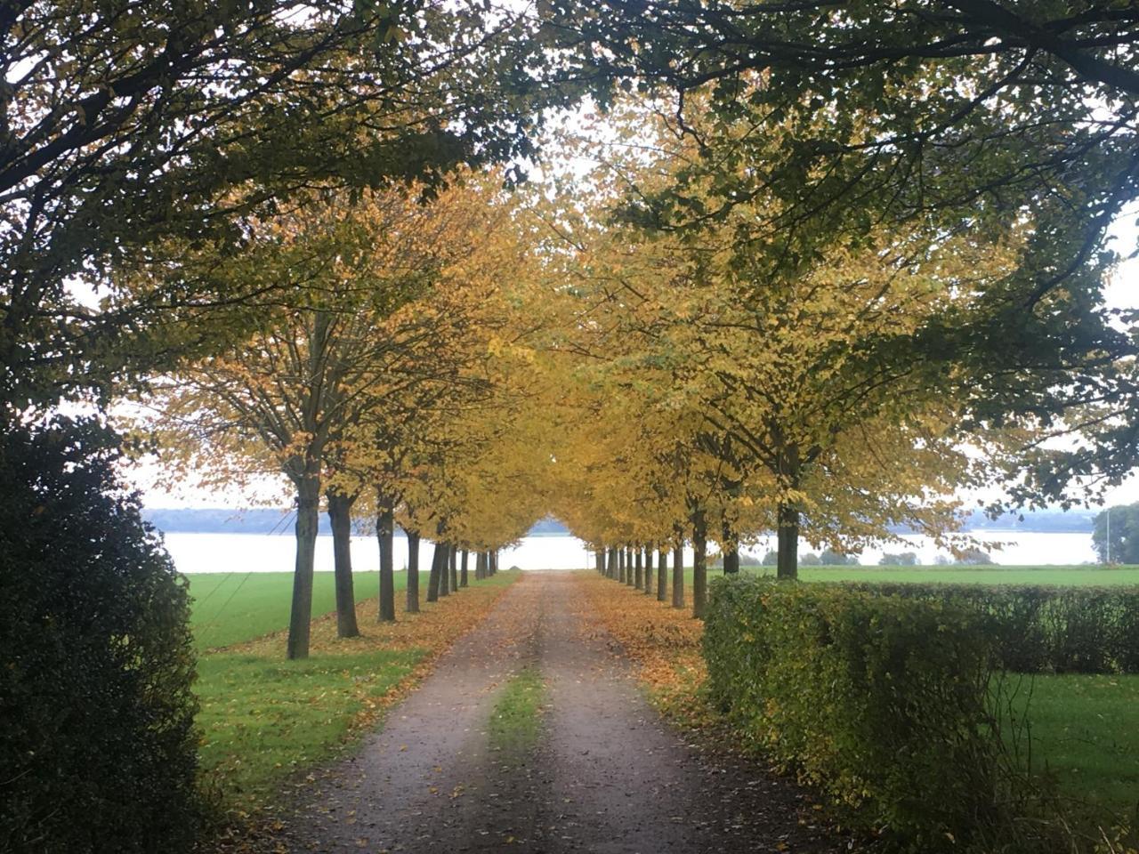 Vibaek Sønderborg Exterior foto